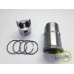 SET MOTOR