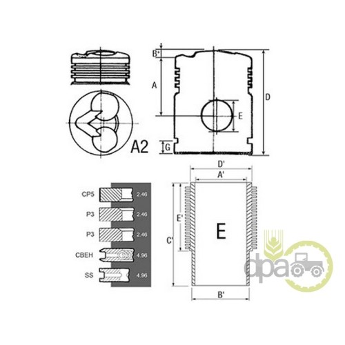 SET MOTOR