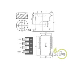 SET MOTOR