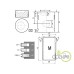 SET MOTOR