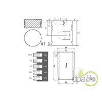 SET MOTOR