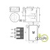 SET MOTOR