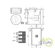 SET MOTOR