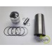SET MOTOR