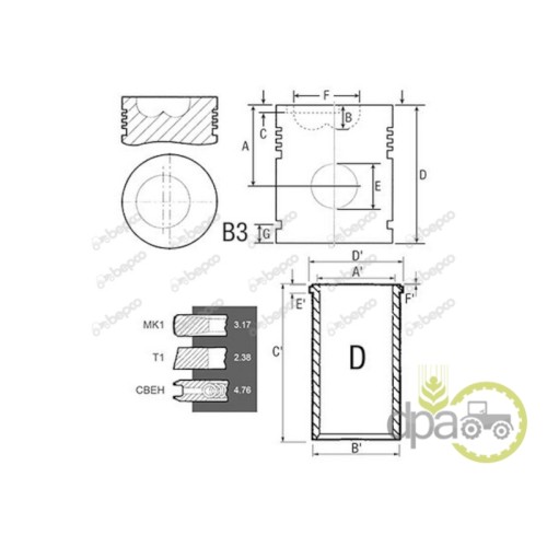 SET MOTOR