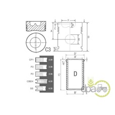 SET MOTOR