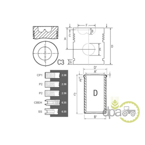 SET MOTOR