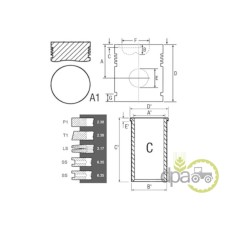 SET MOTOR