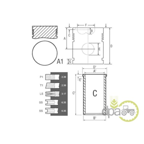 SET MOTOR