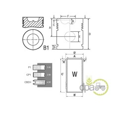 SET MOTOR