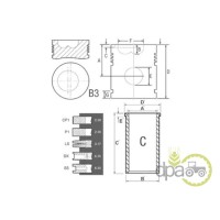 SET MOTOR