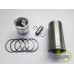 SET MOTOR