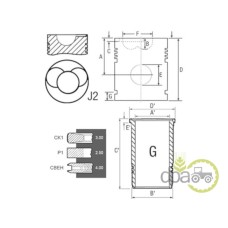 SET MOTOR