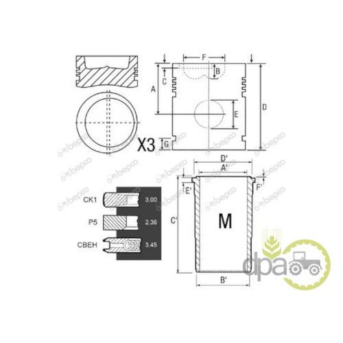 SET MOTOR