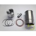 SET MOTOR