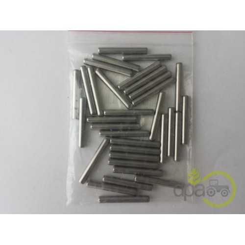 SET ROLE RULMENT POMPA HIDRAULICA (X33)