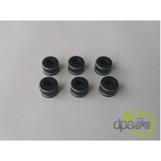 SET SIMERING SUPAPE (X6)
