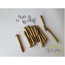 SET SURUBURI PLACA PRESIUNE (X12)