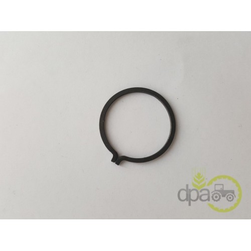 SIGURANTA PINION PLANETAR FATA