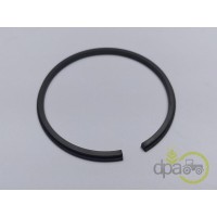 SIGURANTA PINION SATELIT
