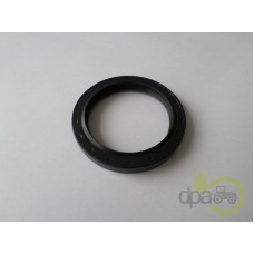 SIMERING FATA ARBORE MOTOR