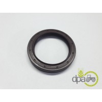 SIMERING FATA ARBORE MOTOR
