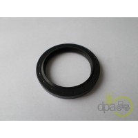 SIMERING FATA ARBORE MOTOR
