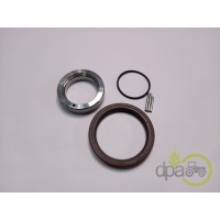 SIMERING FATA ARBORE MOTOR