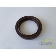 SIMERING FATA ARBORE MOTOR