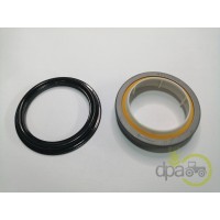 SIMERING FATA ARBORE MOTOR