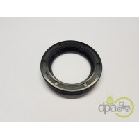 SIMERING FATA ARBORE MOTOR