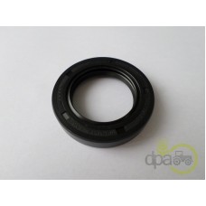 SIMERING FATA ARBORE MOTOR
