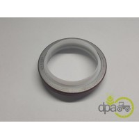 SIMERING FATA ARBORE MOTOR