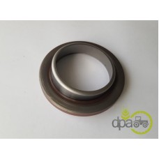 SIMERING FATA ARBORE MOTOR
