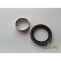 SIMERING FATA ARBORE MOTOR
