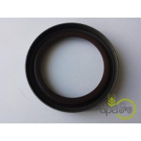 SIMERING FATA ARBORE MOTOR