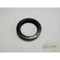 SIMERING FATA ARBORE MOTOR