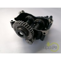 SISTEM ECHILIBRARE MOTOR