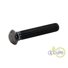 SURUB+PIULITA PLUG M12X70