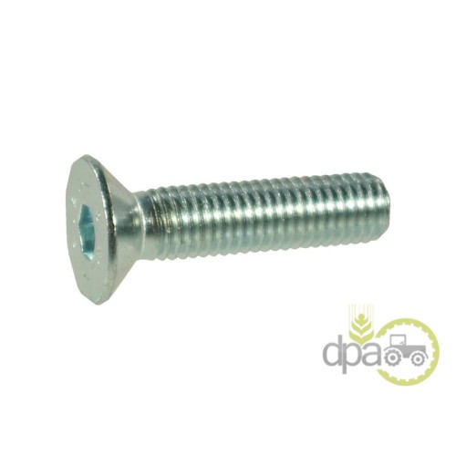 SURUB CAP INECAT M6X1X10