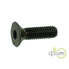 SURUB CAP INECAT M6X1X16