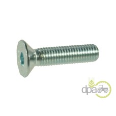 SURUB CAP INECAT M8X20