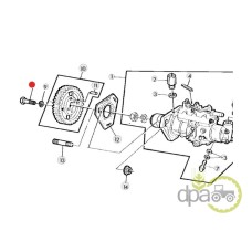 SURUB PINION POMPA INJECTIE