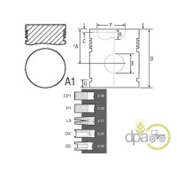 PISTON+SEGMENTI MOTOR